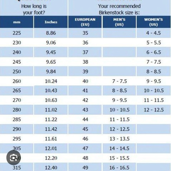 BIRKENSTOCK blue/ MODELS /GIZEH BIRKO-FLOR size 40(9-9.5) - Picture 13 of 13